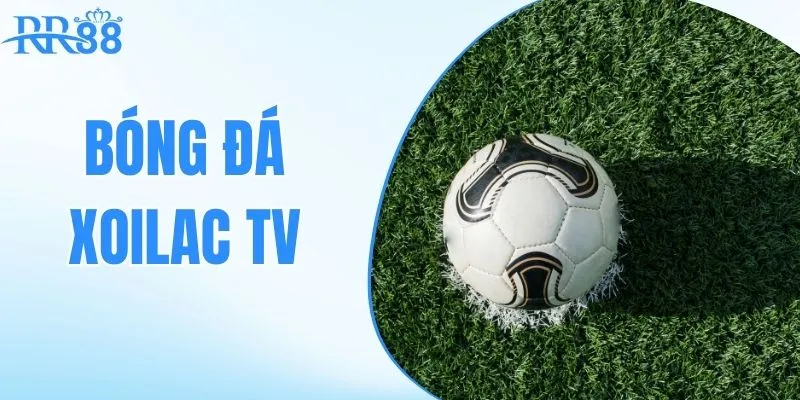 bóng đá xoila tv